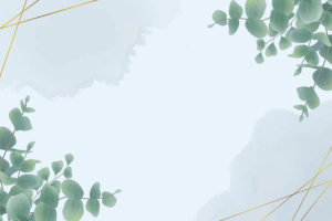 Eucalyptus
